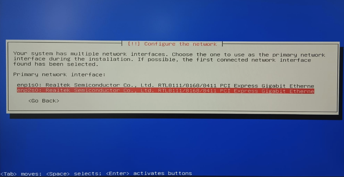 Primary network interface